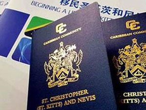 中国香港优异人才妄想-侨置移民—全球移民置业向导者