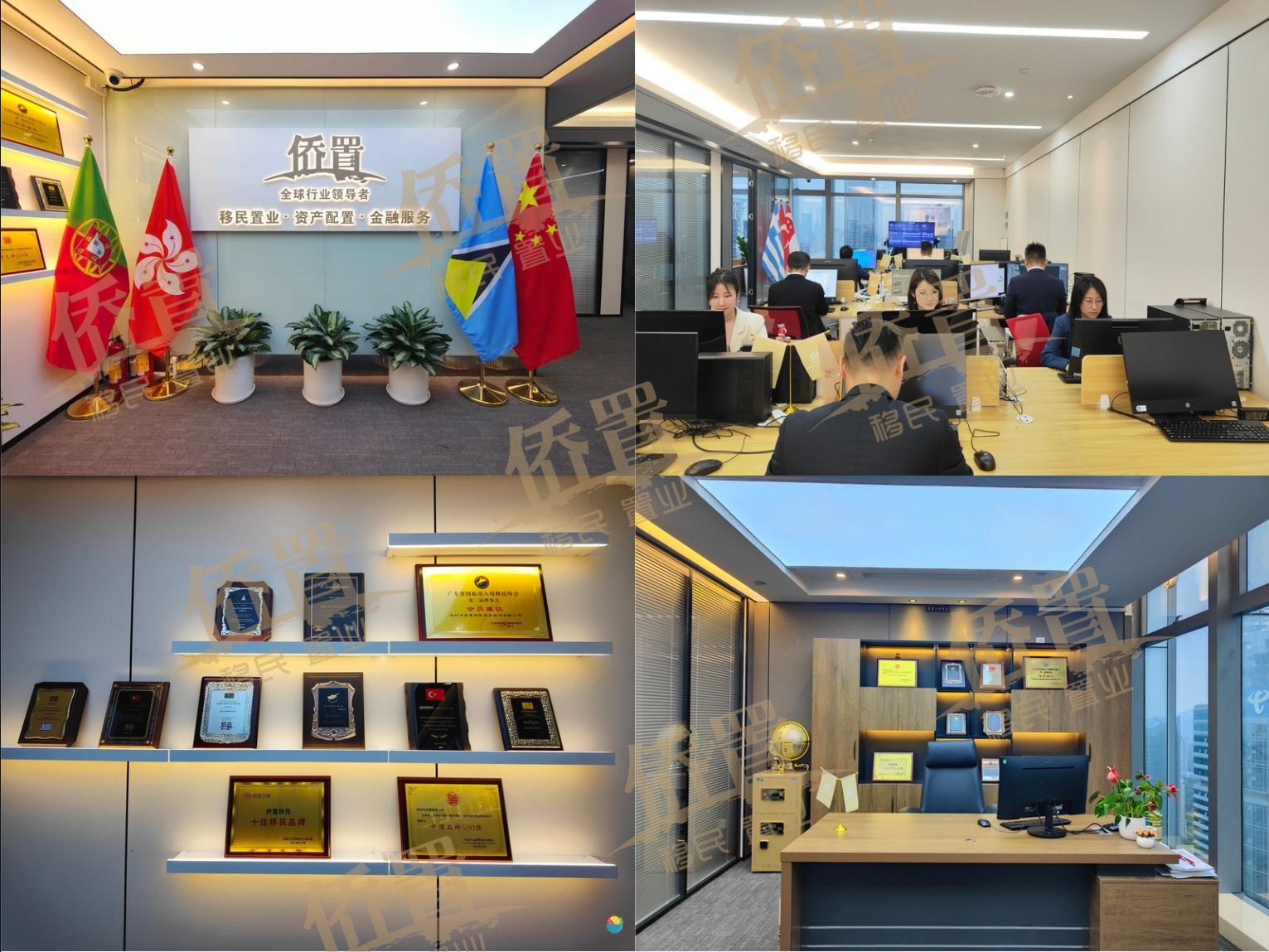 侨置公司情形.png